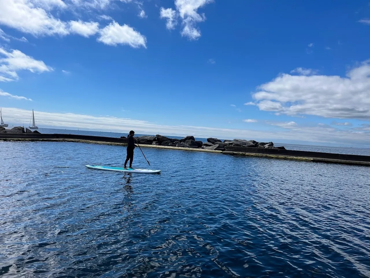 Q3 2023 – Vitamin D Day